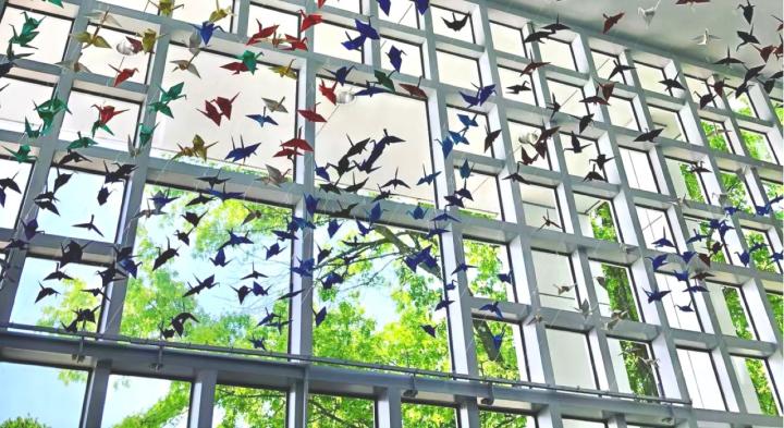 paper birds hanging in the building